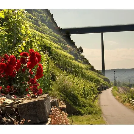 Alkener Elfenhaus Mit Kostenlosen Gaeste Ticket * Alken