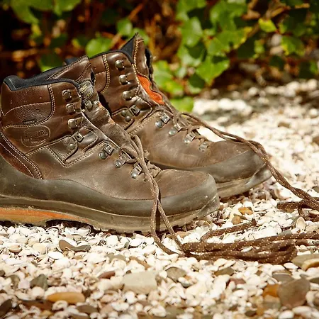 Alkener Elfenhaus Mit Kostenlosen Gaeste Ticket Appartement Alken