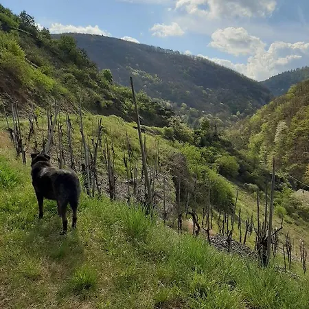 Alkener Elfenhaus Mit Kostenlosen Gaeste Ticket