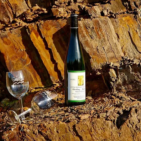 Appartement Alkener Elfenhaus Mit Kostenlosen Gaeste Ticket *