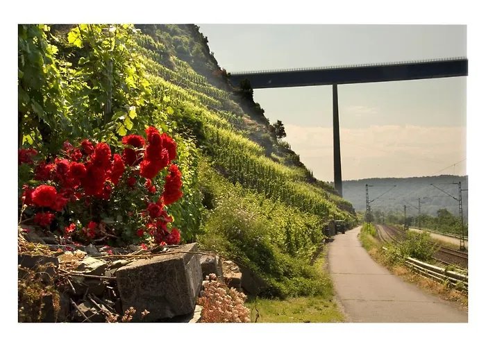 Alkener Elfenhaus Mit Kostenlosen Gaeste Ticket * Алькен